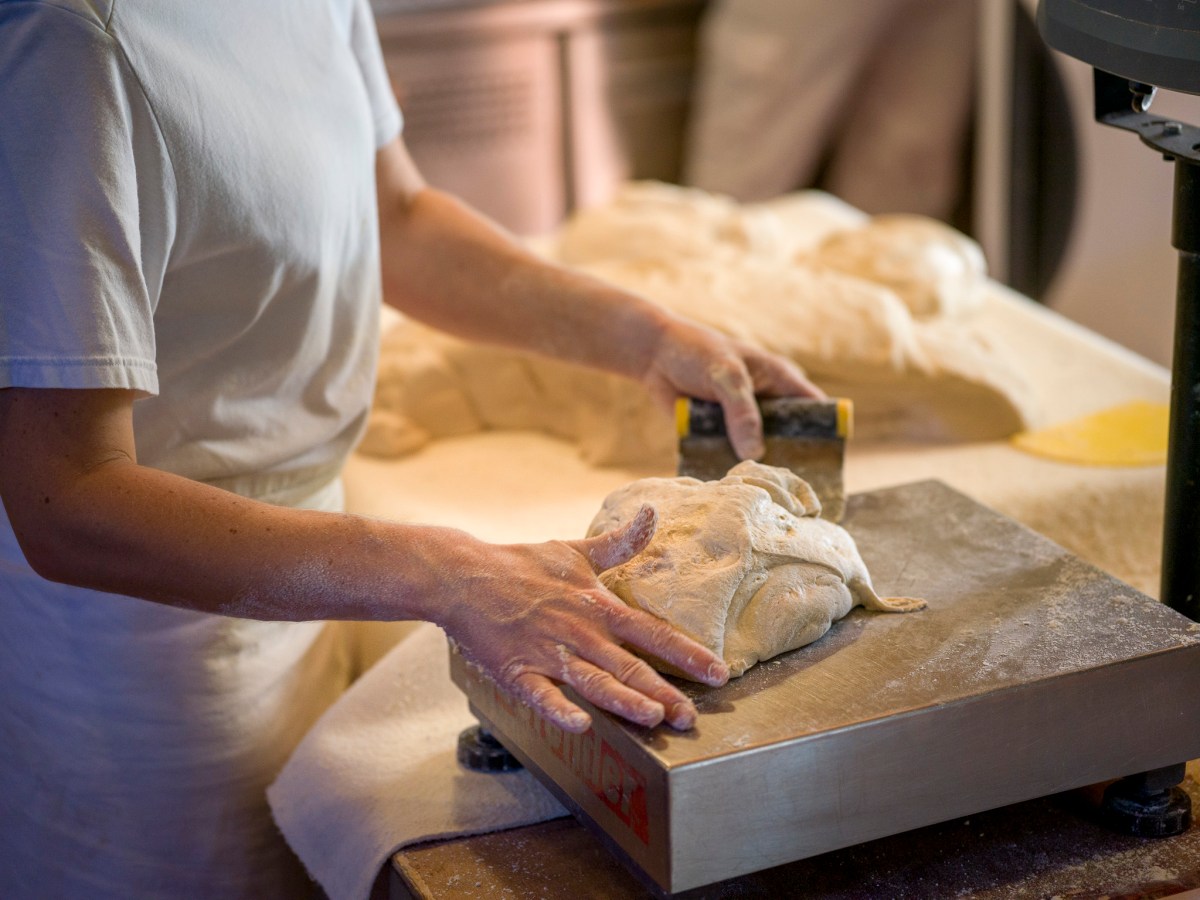 “Mon pain et mon levain sont vivants !”